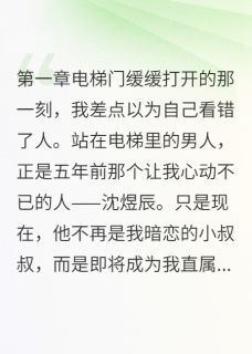 云帆沈煜辰浅语小说大结局在哪看-重逢的禁忌:小叔叔变成了我老板完整版免费阅读