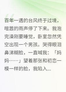 台风过境后，我多了个孩子陆今野许嘉希许星然全章节目录免费阅读