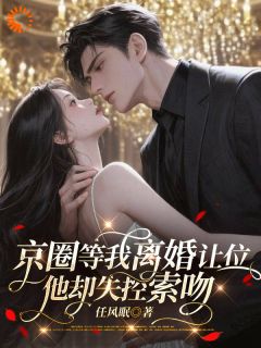 作者任风眠写的京圈等我离婚让位，他却失控索吻小说大结局全章节阅读-欧迈阅读网