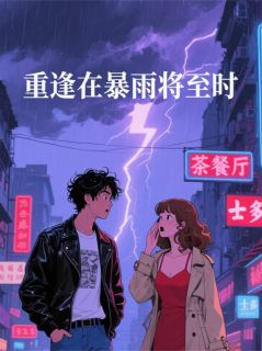 林屿叶哲主角小说重逢在暴雨将至时抖音文免费阅读全文
