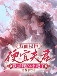 双面权臣，便宜夫君竟是我的小叔子小说的书名是什么-欧迈阅读网