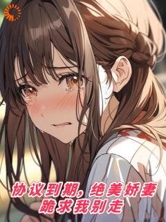 协议到期,绝美娇妻跪求我别走(新书)大结局在线阅读