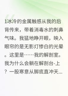 好看的规则之下，尸体不说谎小说，主角林晚星王诚最新章节阅读