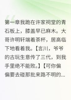 (抖音)她嫁给我哥那天我破产了许明轩宋雅茹许言川小说免费全文阅读