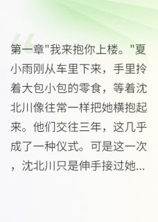 夏小雨沈北川小说<他抱不起九十斤的我>全文在线阅读-欧迈阅读网