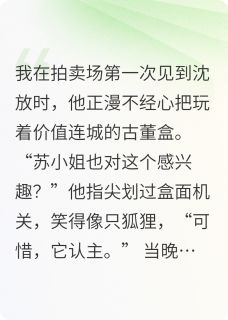 【热文】枕边宿敌主角苏晚沈放小说全集免费阅读