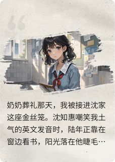 最完整版未寄出的第198封信热门连载小说