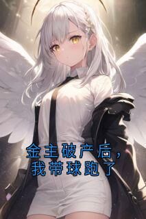 抖音金主破产后，我带球跑了txt小说阅读