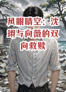 沈翊向薇全章节阅读-风眼晴空:沈翊与向薇的双向救赎全文分享阅读