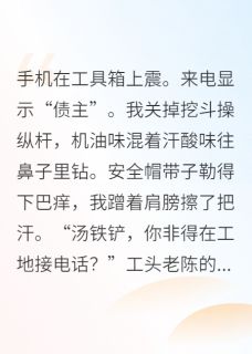 总裁追妻火葬场,我开挖掘机陆沉舟老陈汤元元-半吨老师小说