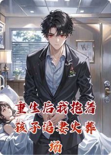 沈聿白苏晚小说章节目录阅读-重生后我抱着孩子追妻火葬场在哪免费看