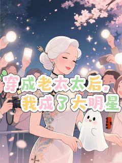 穿成老太太后我成了大明星完整版-岳黎叶小雨许文安在线全文阅读