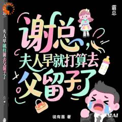 谢总,夫人早就打算去父留子了快手热推安辞心谢景行免费阅读