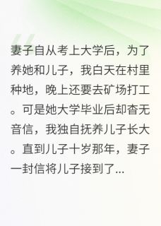 我帮儿子讨公道，妻子反送我入狱夏怡天陈英涛小飞-小说未删减阅读