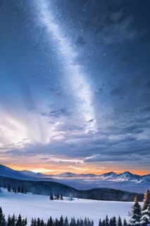 全章节小说虞笙笙萧时煜虞笙笙萧时煜最新阅读