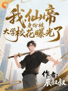 叶风柳云烟小说<我,仙帝身份被大学校花曝光了>全文在线阅读