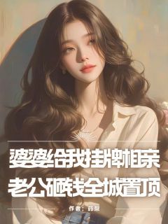 婆婆给我挂牌相亲，老公砸钱全城置顶(纪泊言丁克先)小说全章节目录阅读