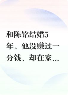 陈铭苏漫林柔小说结局