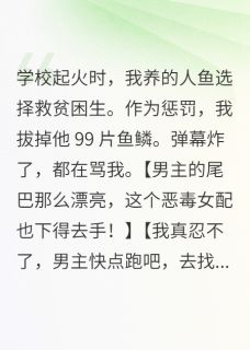 高质量小说在黎明捡到一颗星在线试读