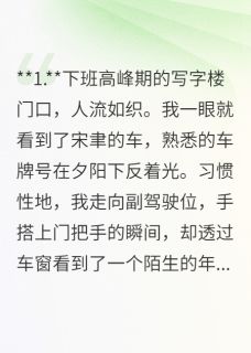 独家下班高峰期的写字楼门口小说-主角宋聿许晗陈望星全文免费阅读-欧迈阅读网