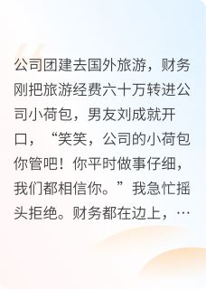 良心推荐掌管团建的小荷包后，我倒欠50万小说试读