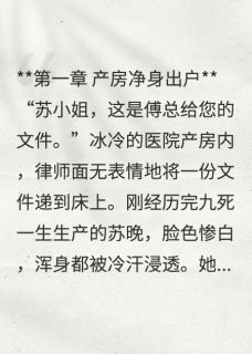 蕃茄酱武士写的小说五年后,她带着萌宝炸翻大佬集团苏晚傅霆渊苏小熙全文阅读