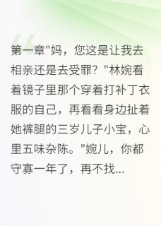 抖音小说带娃去相亲，七零美人风靡家属院林婉小周张明全文txt-欧迈阅读网