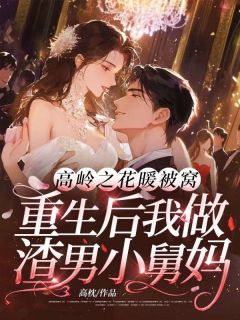 高岭之花暖被窝,重生后我做渣男小舅妈(高枕)最佳创作小说全文在线阅读