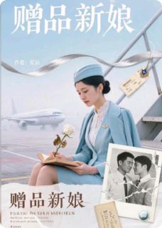 （全集-免费）困在金笼里的飞鸟:赠品新娘完本小说_林云薇陈浩全文免费阅读