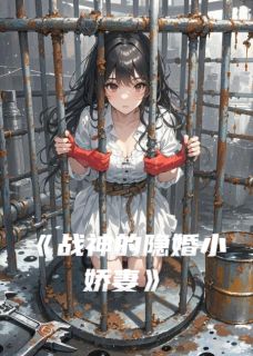 陆沉苏晚主角抖音小说战神的隐婚小娇妻在线阅读