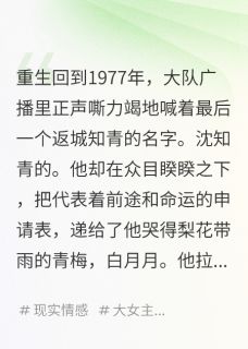 他返城名额给青梅，我嫁军区大院小说(完本)-顾淮安沈知青无错版阅读