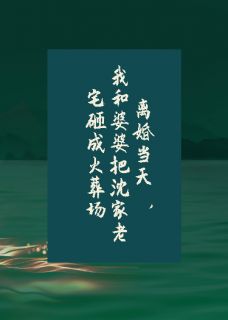 爆款小说由作者博雅梦所创作的我和婆婆把老宅砸成火葬场在线阅读