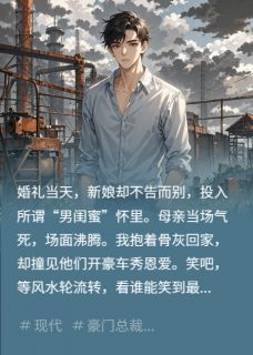 婚礼当天,新娘跟闺蜜私奔了小说_婚礼当天,新娘跟闺蜜私奔了小说结局阅读-欧迈阅读网