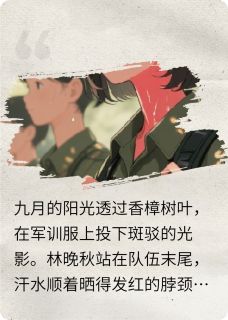 断了线的风筝--尘星终散时小说最新章节-主角林晚秋江熠全文免费阅读-欧迈阅读网