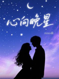 好书推荐心向晚星苏晚陆星野全文在线阅读