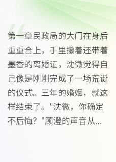 全章节小说离婚当夜，前夫抓我现行巷口张婶最新阅读-欧迈阅读网