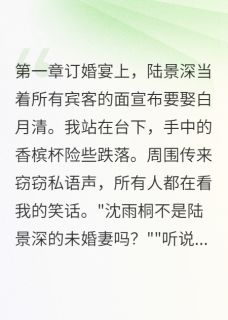 【抖音】前未婚夫疯了十二年全文阅读