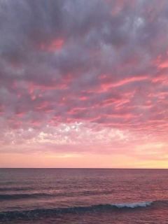 私藏读物情天永沉,余生成碑陈念冰贺子修完结版免费阅读