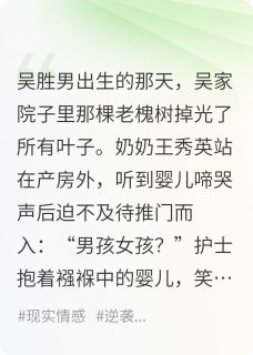 主人公胜男王秀英吴耀祖小说以胜为名在线全文阅读