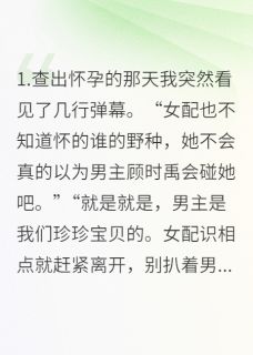 (全本)虚空的弹幕主角顾时禹付珍珍顾言深全文目录畅读