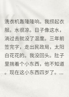 离婚带球跑,球他爹追来了精彩小说-离婚带球跑,球他爹追来了目录阅读