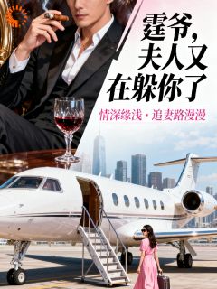 霆爷夫人又在躲你了免费阅读全文,主角沐小小陆震霆小说完整版