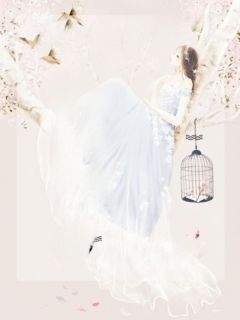 春色晚来慰寒冬商念慈席南禹免费全章节目录阅读