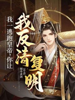 抖音小说我一逃跑皇帝,你让我反清复明?,主角朱宁徐达最后结局小说全文免费