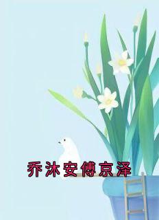 小说推荐乔沐安傅京泽完结版全章节阅读