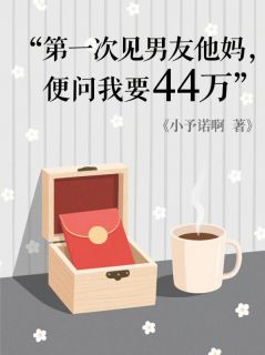 良心推荐第一次见男友他妈，便问我要44万小说试读