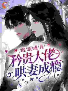 暗恋成真,矜贵大佬哄妻成瘾章节全目录 陶桦江涵儿全文免费阅读