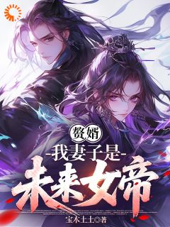 知乎小说赘婿,我妻子是未来女帝主角是叶天慕容萱全文阅读