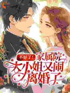 (抖音)不好了！家属院大小姐又闹离婚了宋念栀徐奕承小说免费全文阅读