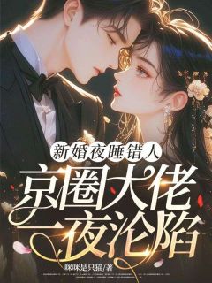 火爆新婚夜睡错人，京圈大佬一夜沦陷小说，主角是司情江浩程季之礼在线阅读全文无删减